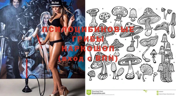МДПВ Верея
