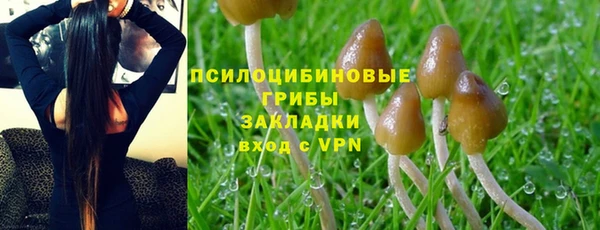 шишки Верхнеуральск